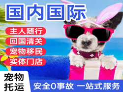 西庆航空快递国际宠物托运 【国